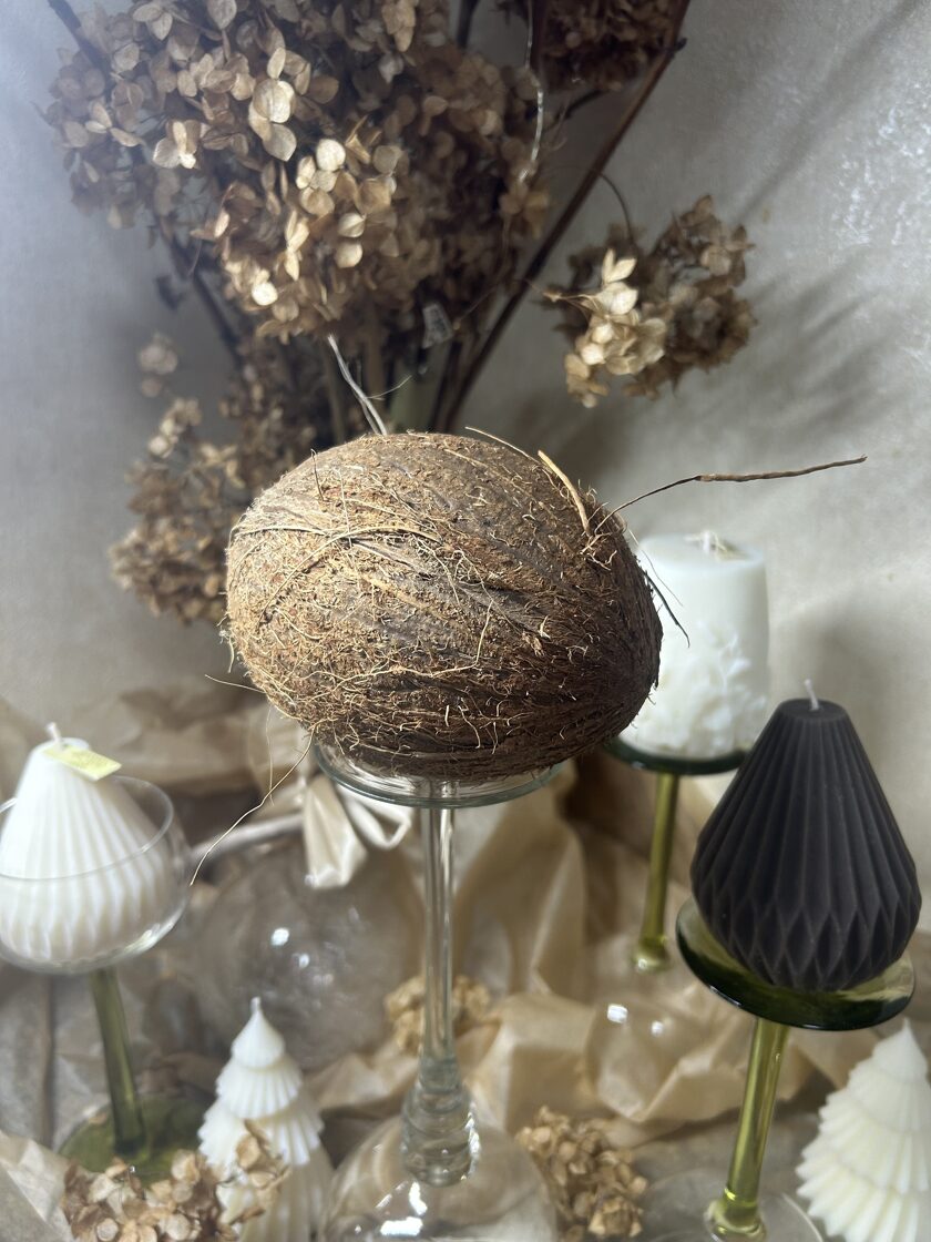 RAMMA ART KOKOSRIEKSTU VASKS DABĪGS ILGTSPEJĪGS